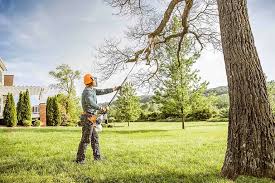 How Our Tree Care Process Works  in  Brinckerhoff, NY