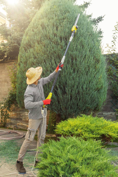 Best Utility Line Clearance  in Brinckerhoff, NY