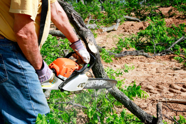Best Lawn Pest Prevention  in Brinckerhoff, NY
